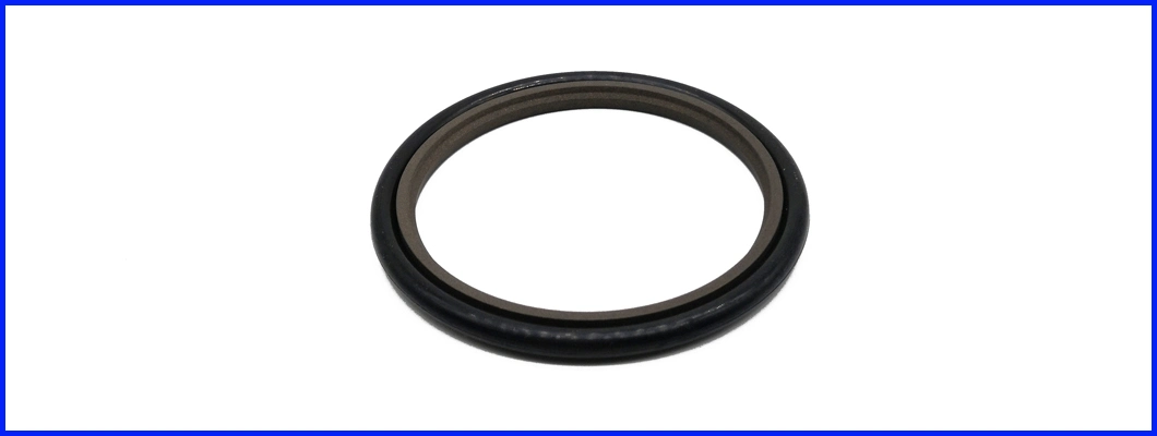 Hbts Gsj Bsj 40% Bronze PTFE Hydraulic Cylinder Reciprocating Motion Rod Buffer Shaft Oil Plastic Rubber Mechanical Step Seal